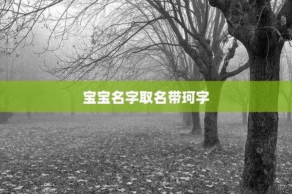 宝宝名字取名带珂字