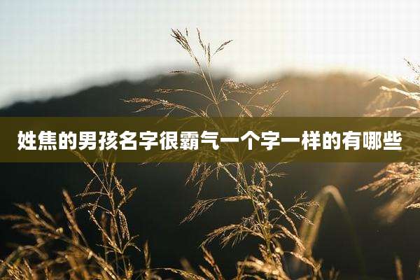 姓焦的男孩名字很霸气一个字一样的有哪些