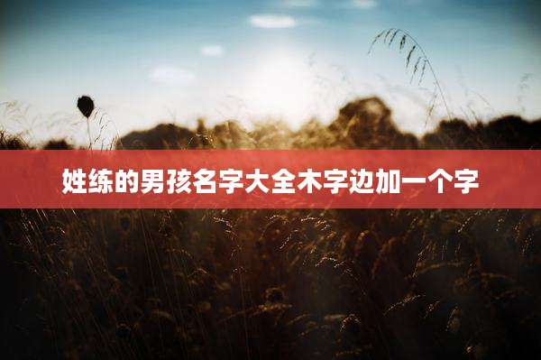 姓练的男孩名字大全木字边加一个字