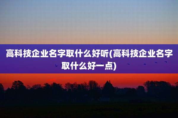 高科技企业名字取什么好听(高科技企业名字取什么好一点)