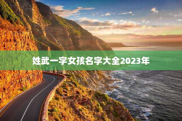 姓武一字女孩名字大全2023年