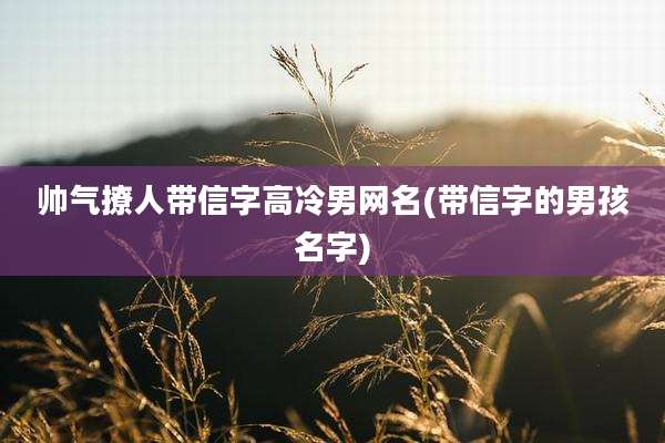 帅气撩人带信字高冷男网名(带信字的男孩名字)