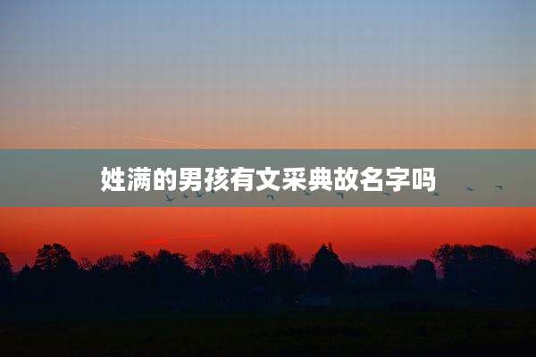 姓满的男孩有文采典故名字吗