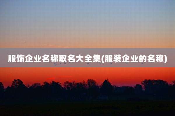 服饰企业名称取名大全集(服装企业的名称)
