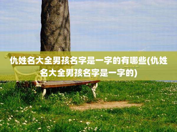 仇姓名大全男孩名字是一字的有哪些(仇姓名大全男孩名字是一字的)
