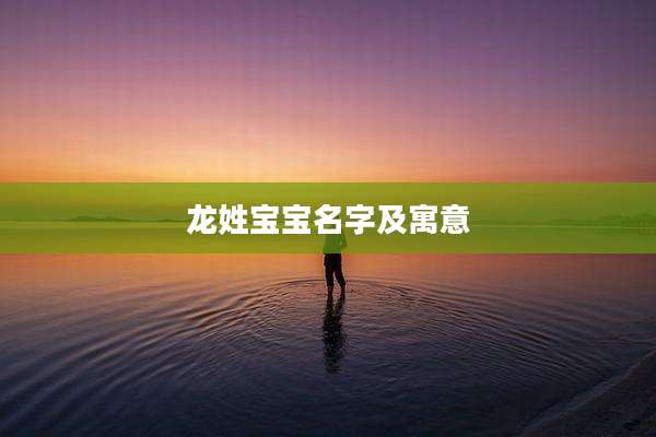 龙姓宝宝名字及寓意