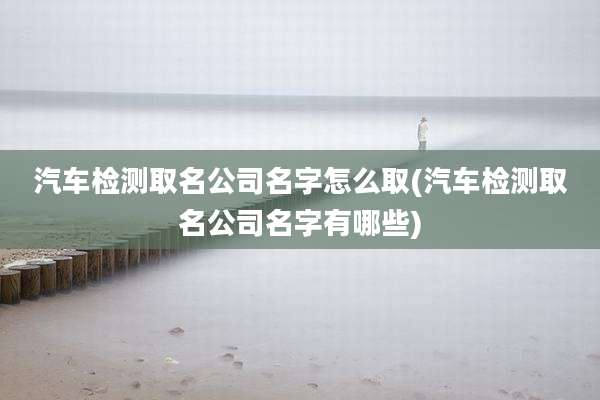 汽车检测取名公司名字怎么取(汽车检测取名公司名字有哪些)