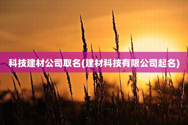 科技建材公司取名(建材科技有限公司起名)