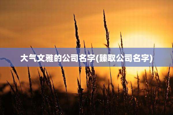 大气文雅的公司名字(臻取公司名字)