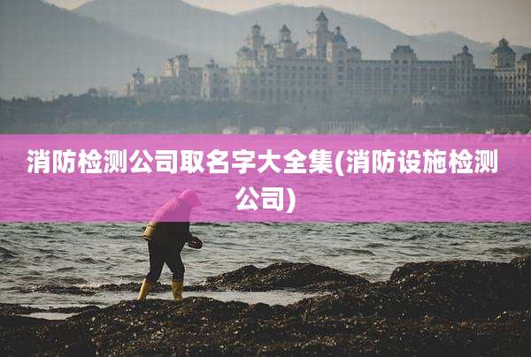 消防检测公司取名字大全集(消防设施检测 公司)