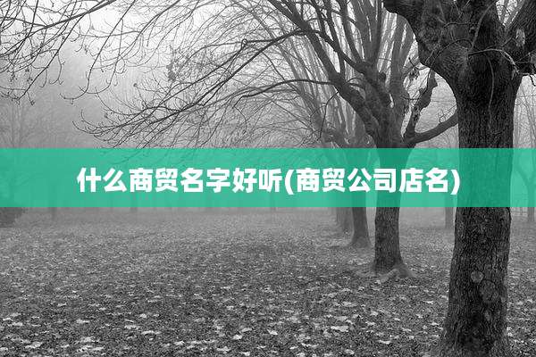 什么商贸名字好听(商贸公司店名)