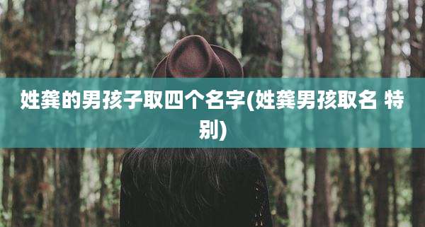 姓龚的男孩子取四个名字(姓龚男孩取名 特别)
