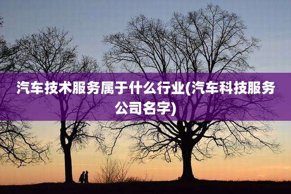 汽车技术服务属于什么行业(汽车科技服务公司名字)