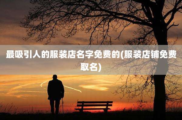 最吸引人的服装店名字免费的(服装店铺免费取名)