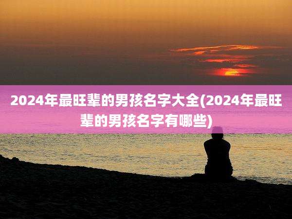 2024年最旺辈的男孩名字大全(2024年最旺辈的男孩名字有哪些)