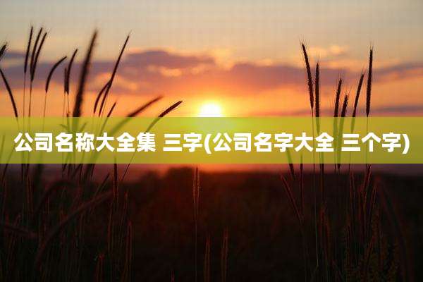公司名称大全集 三字(公司名字大全 三个字)