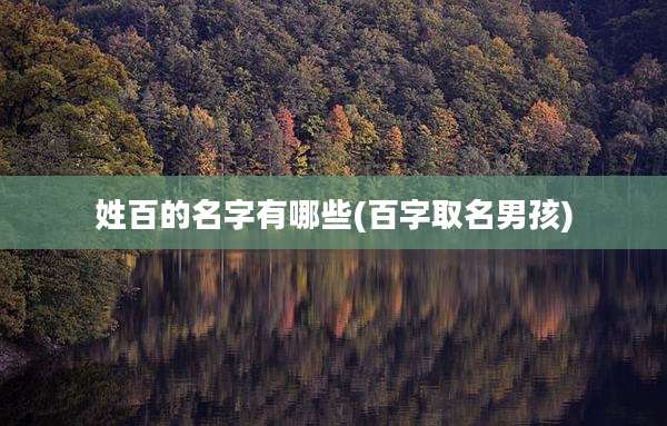 姓百的名字有哪些(百字取名男孩)