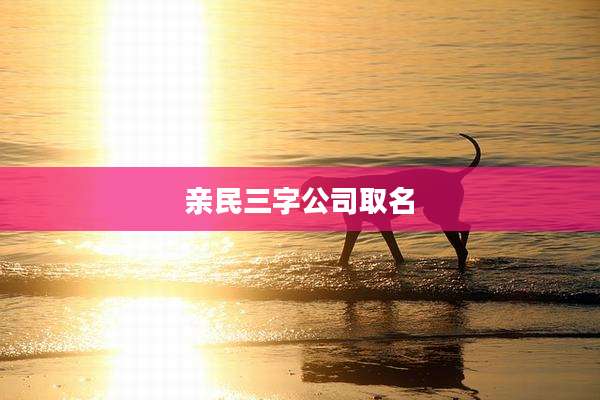亲民三字公司取名
