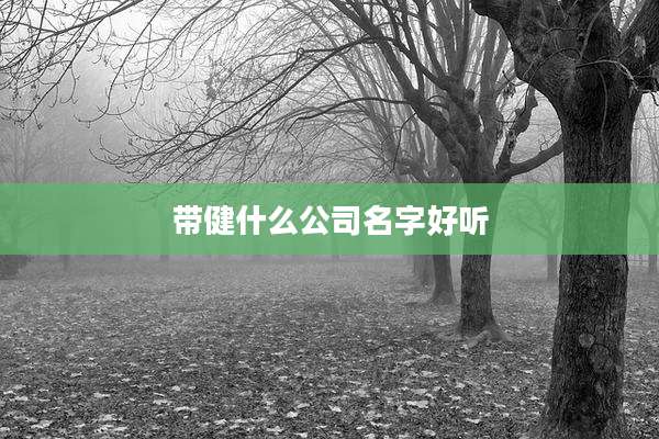 带健什么公司名字好听