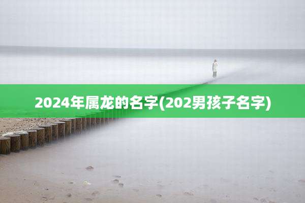2024年属龙的名字(202男孩子名字)