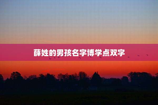 薛姓的男孩名字博学点双字