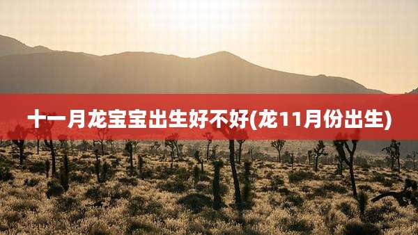 十一月龙宝宝出生好不好(龙11月份出生)