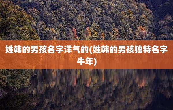 姓韩的男孩名字洋气的(姓韩的男孩独特名字牛年)