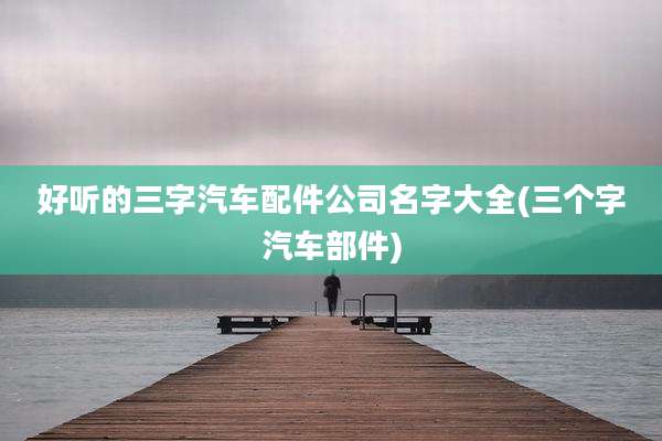 好听的三字汽车配件公司名字大全(三个字汽车部件)