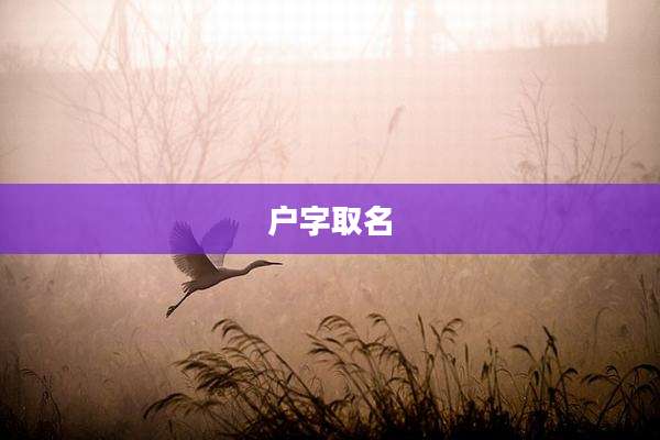 户字取名