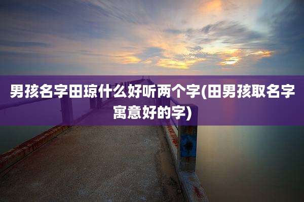 男孩名字田琼什么好听两个字(田男孩取名字寓意好的字)
