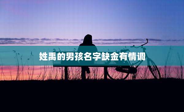 姓禹的男孩名字缺金有情调