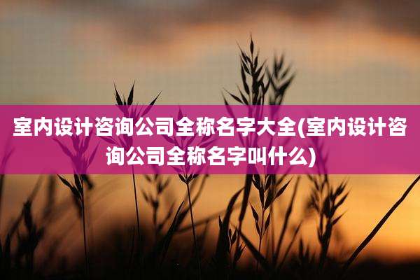 室内设计咨询公司全称名字大全(室内设计咨询公司全称名字叫什么)