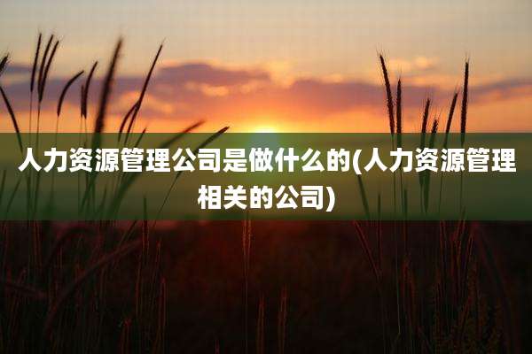 人力资源管理公司是做什么的(人力资源管理相关的公司)