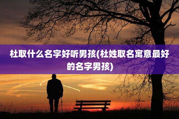杜取什么名字好听男孩(杜姓取名寓意最好的名字男孩)