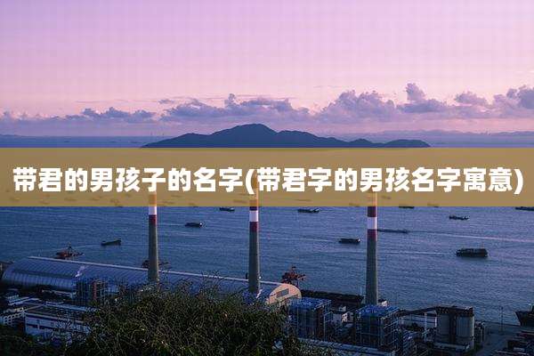 带君的男孩子的名字(带君字的男孩名字寓意)