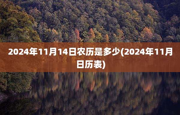 2024年11月14日农历是多少(2024年11月日历表)