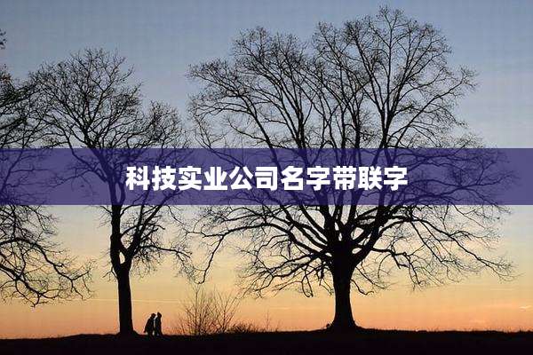 科技实业公司名字带联字