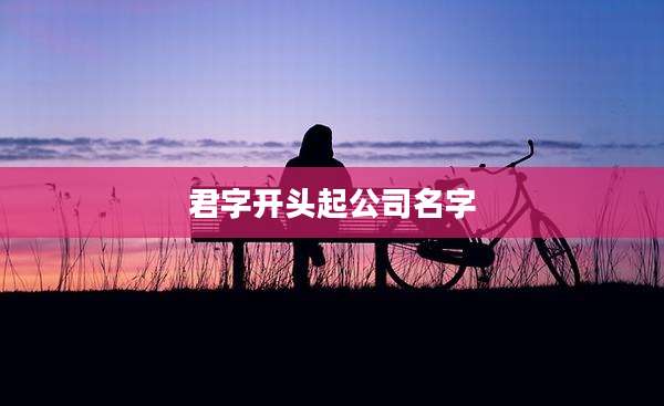 君字开头起公司名字