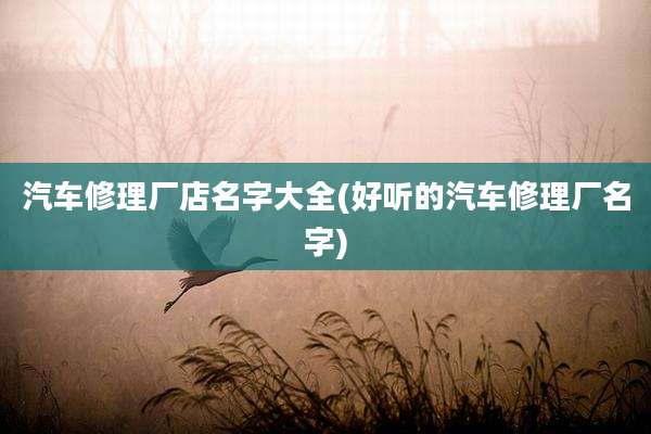 汽车修理厂店名字大全(好听的汽车修理厂名字)