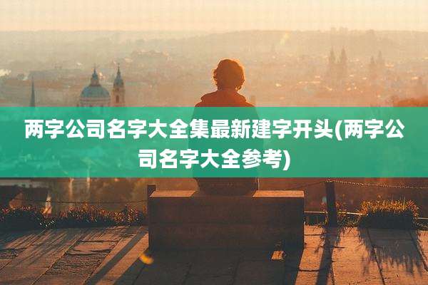 两字公司名字大全集最新建字开头(两字公司名字大全参考)