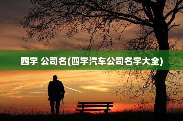 四字 公司名(四字汽车公司名字大全)