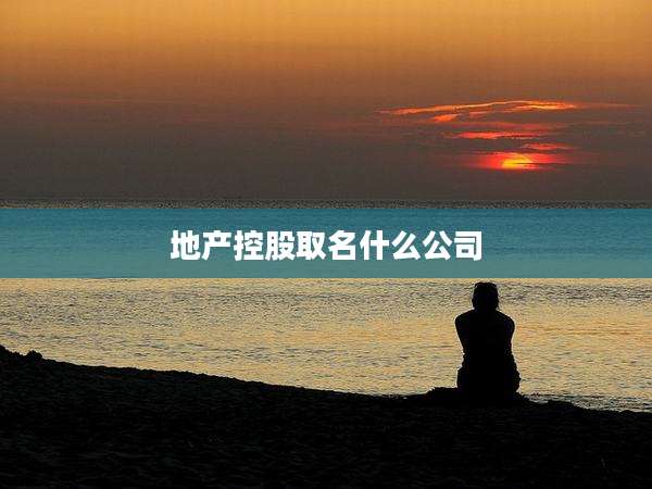 地产控股取名什么公司