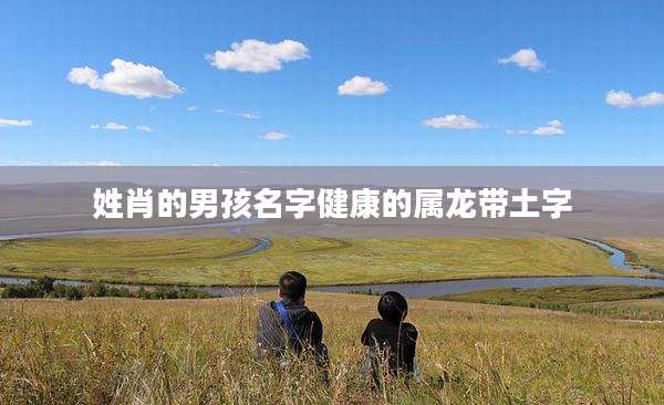 姓肖的男孩名字健康的属龙带土字