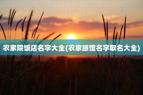 农家院饭店名字大全(农家旅馆名字取名大全)