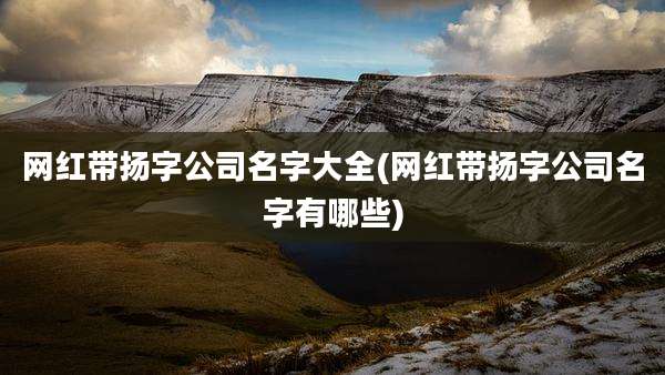网红带扬字公司名字大全(网红带扬字公司名字有哪些)