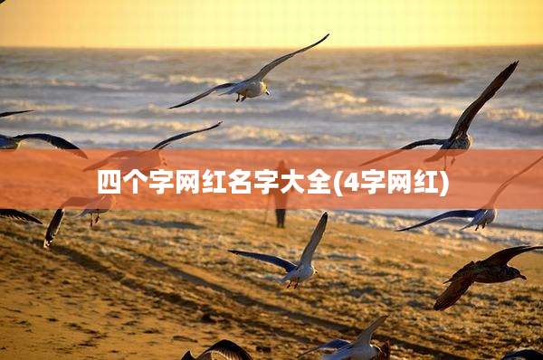 四个字网红名字大全(4字网红)