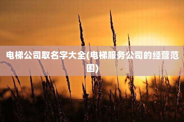 电梯公司取名字大全(电梯服务公司的经营范围)