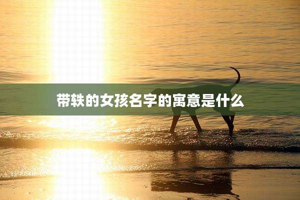 带轶的女孩名字的寓意是什么