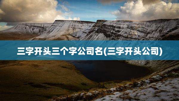 三字开头三个字公司名(三字开头公司)
