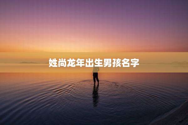 姓尚龙年出生男孩名字